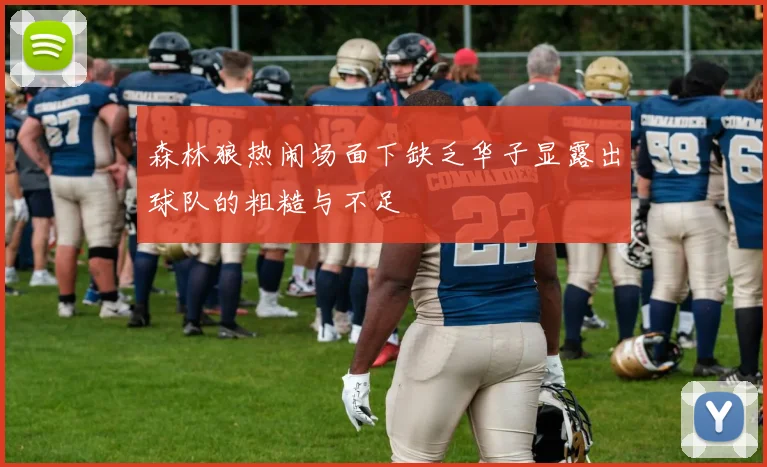 森林狼热闹场面下缺乏华子显露出球队的粗糙与不足