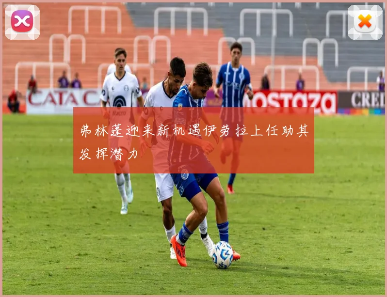 弗林蓬迎来新机遇伊劳拉上任助其发挥潜力